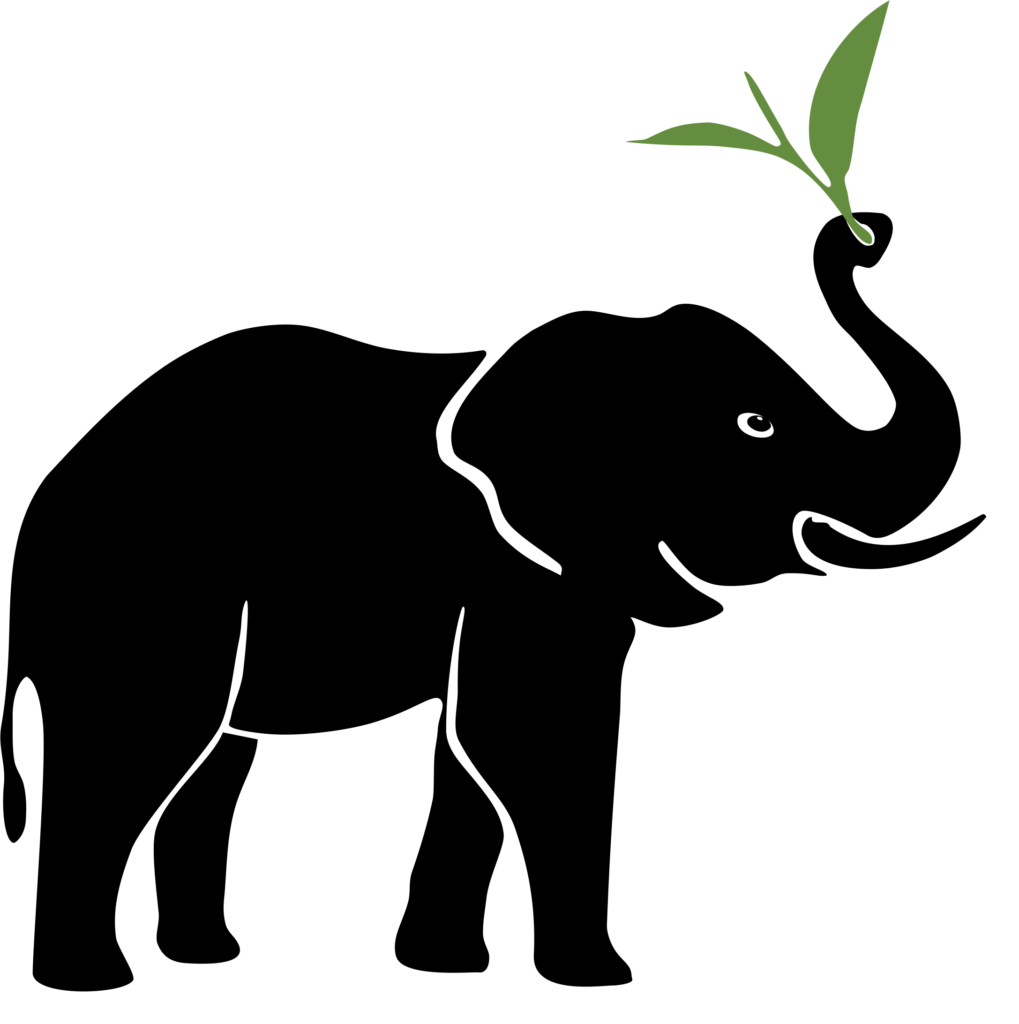 Logo The Tea Company