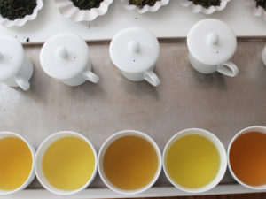 Qualitätstee, ausgewählte Teegärten, The Tea Company
